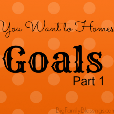 Goals {So You Want to Homeschool?}