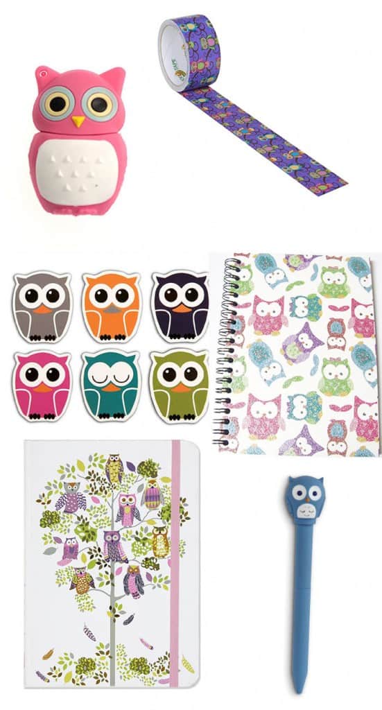 School and Craft gift ideas for an owl loving girl