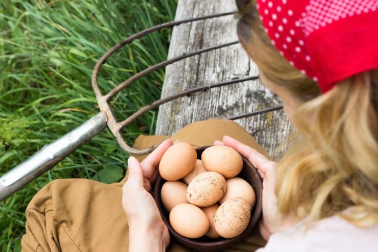 17 Great Gift Ideas for the Crazy Chicken Lady in Your Life