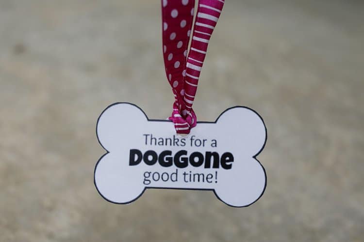 Thanks for the Doggone Good Time DIY Hostess Gift for dogs
