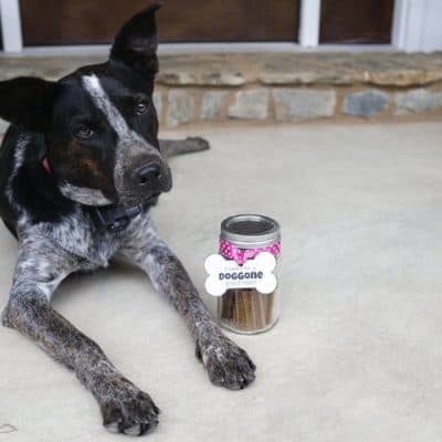DIY ‘Thanks for the DOGGONE Good Time’ Hostess Gift for Dogs
