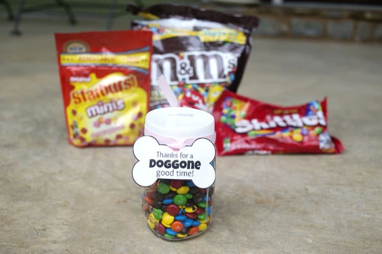 Thanks for the Doggone Good Time DIY Hostess Gift for dogs and their owners