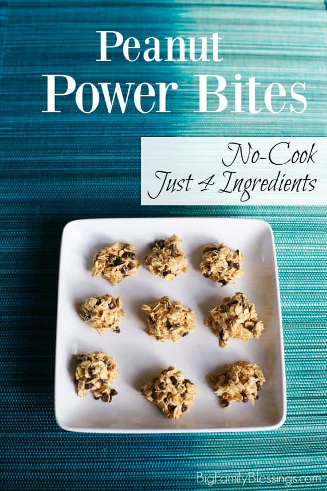 Peanut Power Bites- no cook, just 4 ingredients, protein snack