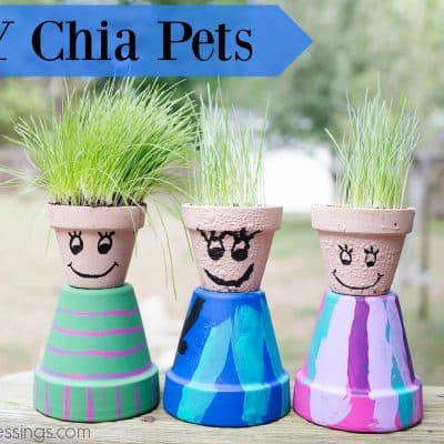 DIY Chia Pets