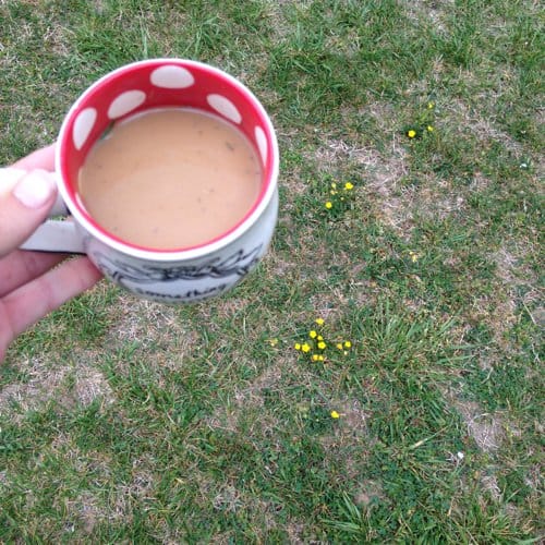 Yep, that's grass in my coffee. One of the big kids had a mower issue. I set my coffee down to help, then forgot about it when we got back to work.
