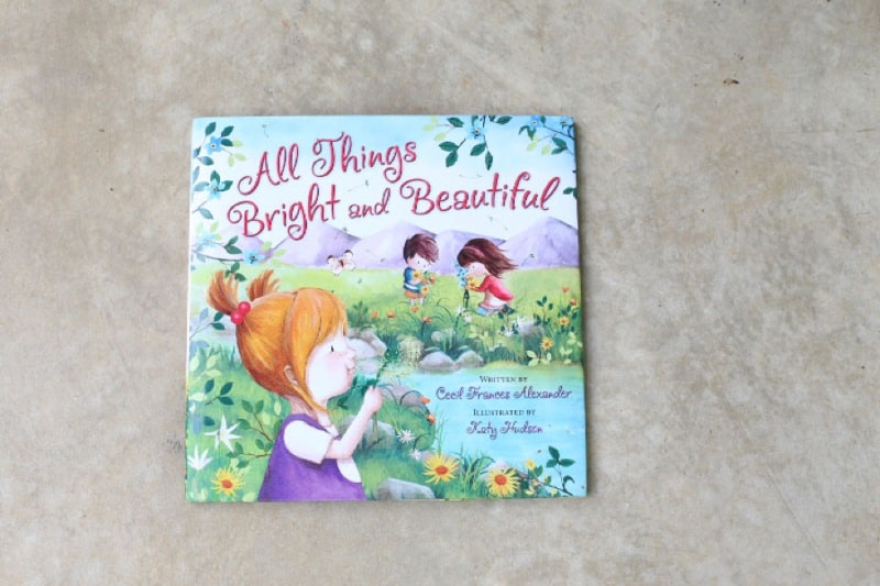 All Things Bright and Beautiful Book Review & Giveaway