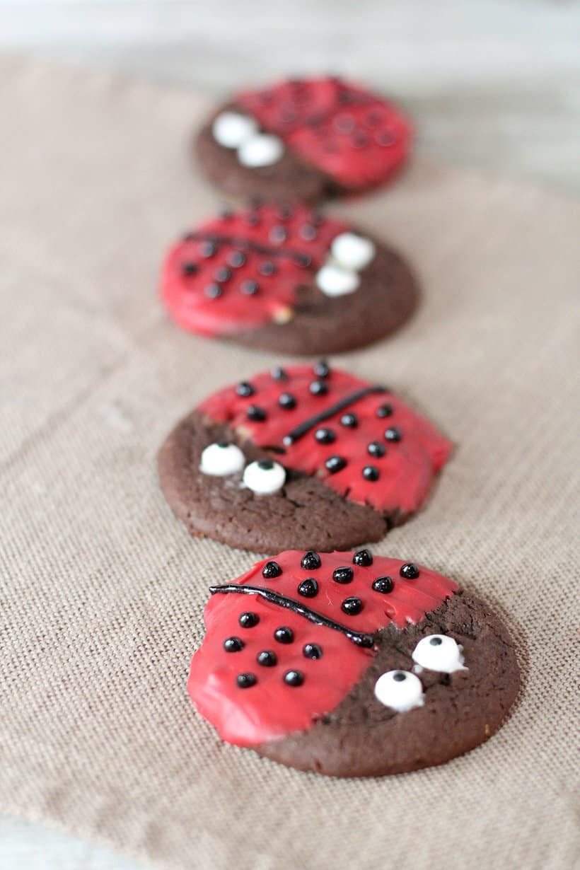 Easy & Adorable Ladybug Cookies