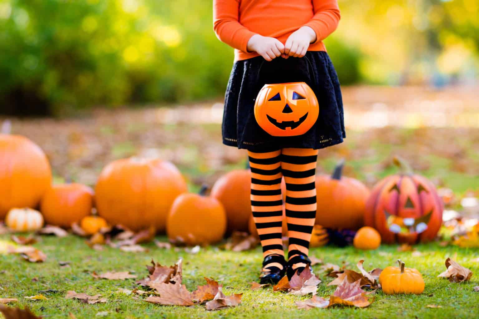 7 Cute Halloween Costume Ideas That Incorporate a Face Mask