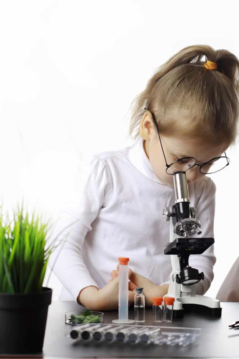 Spring Science Experiments for Kids
