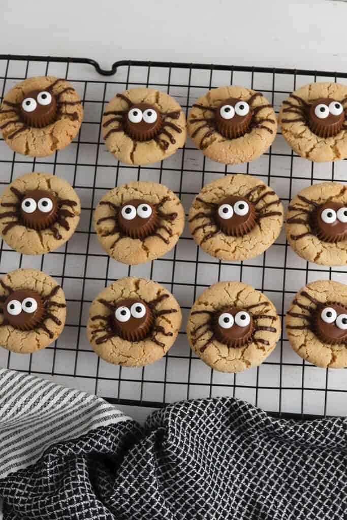 halloween spider cookies