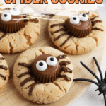 spider cookies for halloween