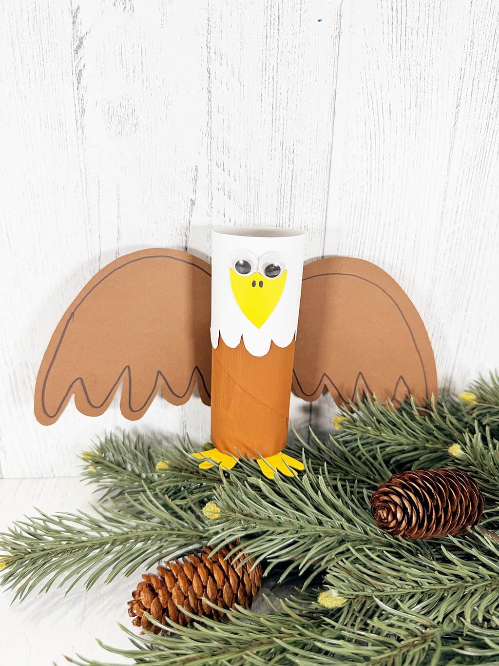 Eagle Toilet Paper Roll Patriotic Craft for Kids